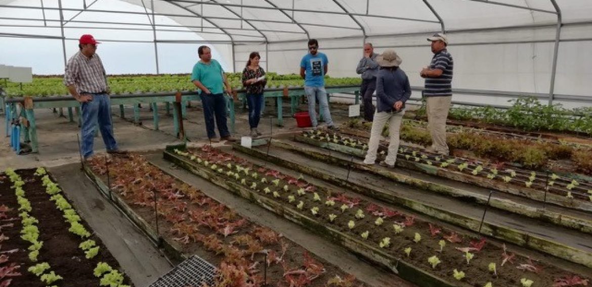 Integrante de CRHIAM realizó charla a profesionales de Prodesal en Curicó