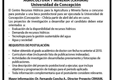 Llamado a Concurso Beca Postdoctoral