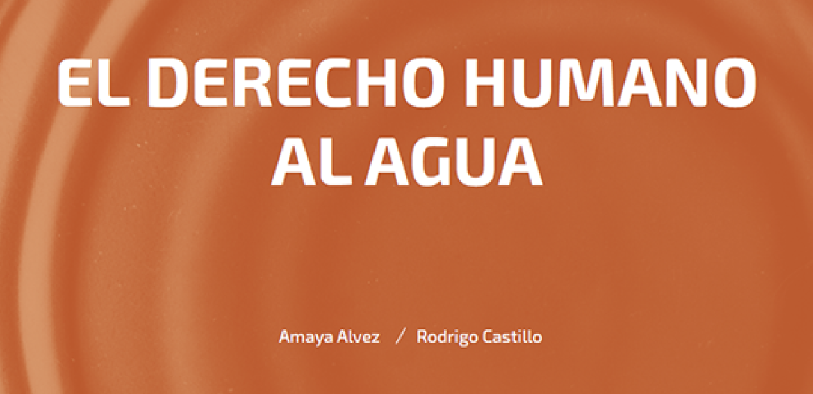 » N°3 | El Derecho Humano Al Agua | CRHIAM