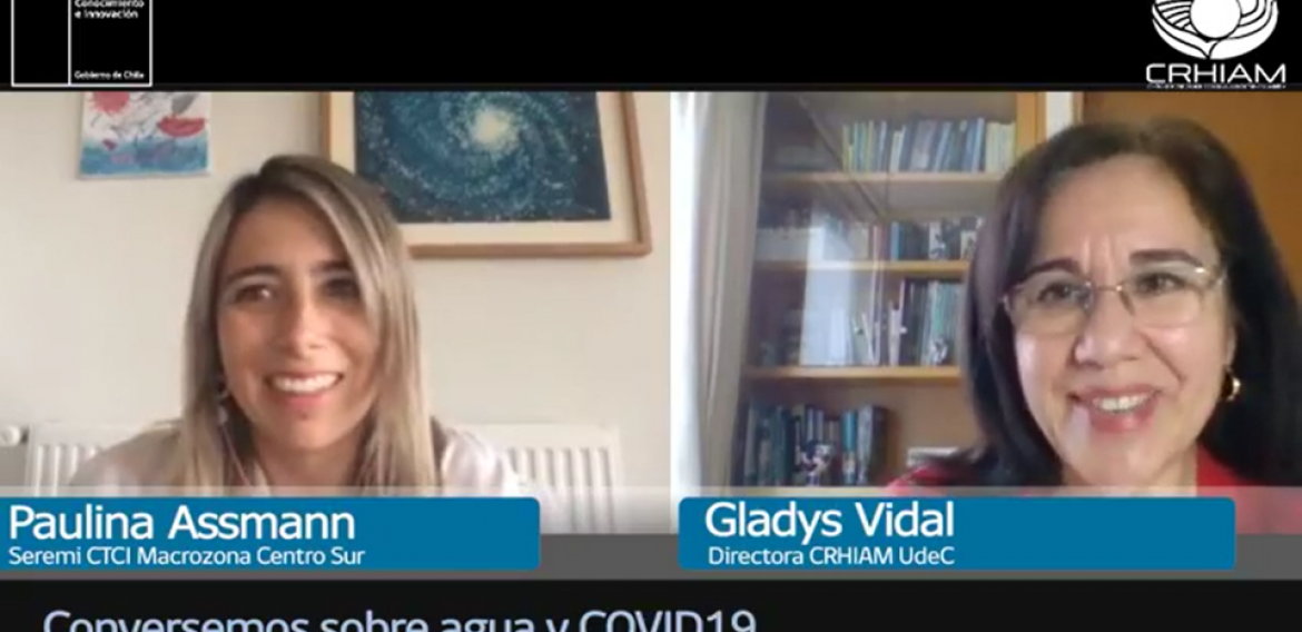 Directora CRHIAM participa en conversatorio virtual con Seremi CTCI