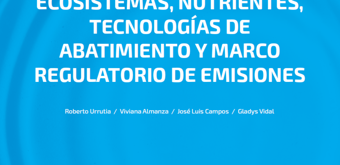 N°10 | Calidad de agua en los ecosistemas, nutrientes, tecnologías de abatimiento y marco regulatorio de emisiones