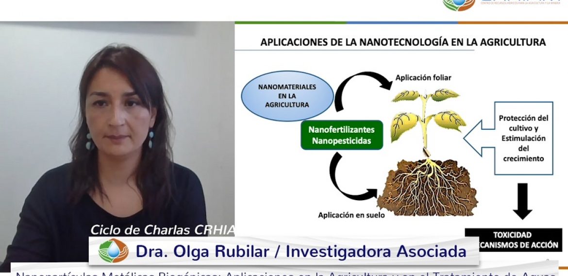 Nanopartículas metálicas biogénicas fue el tema del Ciclo de Charlas CRHIAM de noviembre