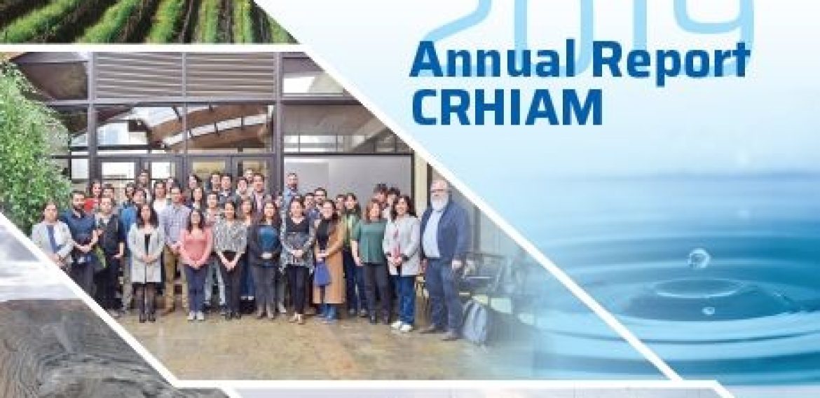 Annual report 2019