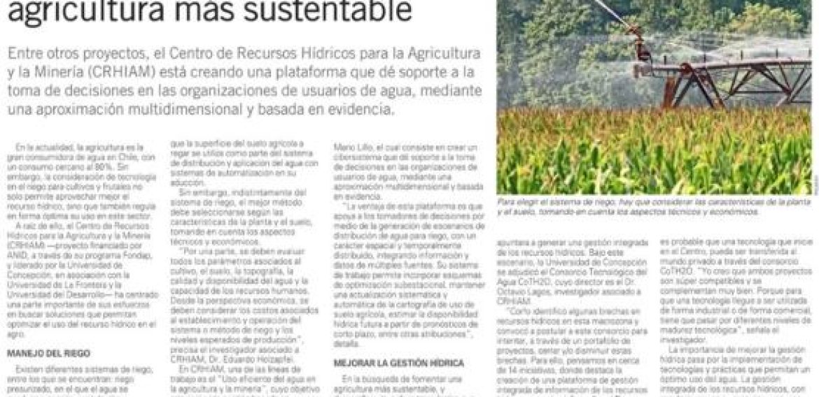 Optimización del agua a través del riego: la clave para una agricultura más sustentable