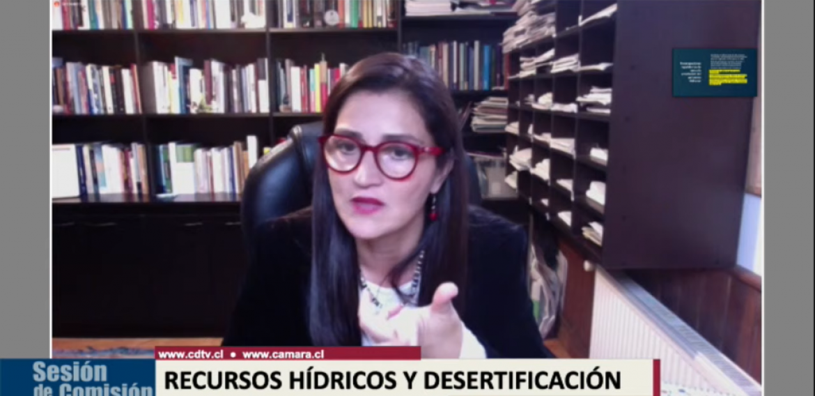 Investigadora asociada expuso en la Comisión de Recursos Hídricos y Desertificación de la Cámara de Diputados