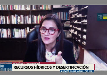 Investigadora asociada expuso en la Comisión de Recursos Hídricos y Desertificación de la Cámara de Diputados