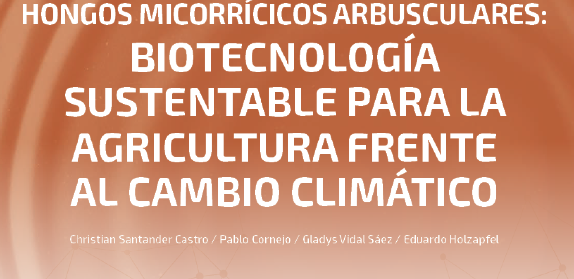 N°18 | Hongos micorrícicos arbusculares: Biotecnología sustentable para la agricultura frente al cambio climático