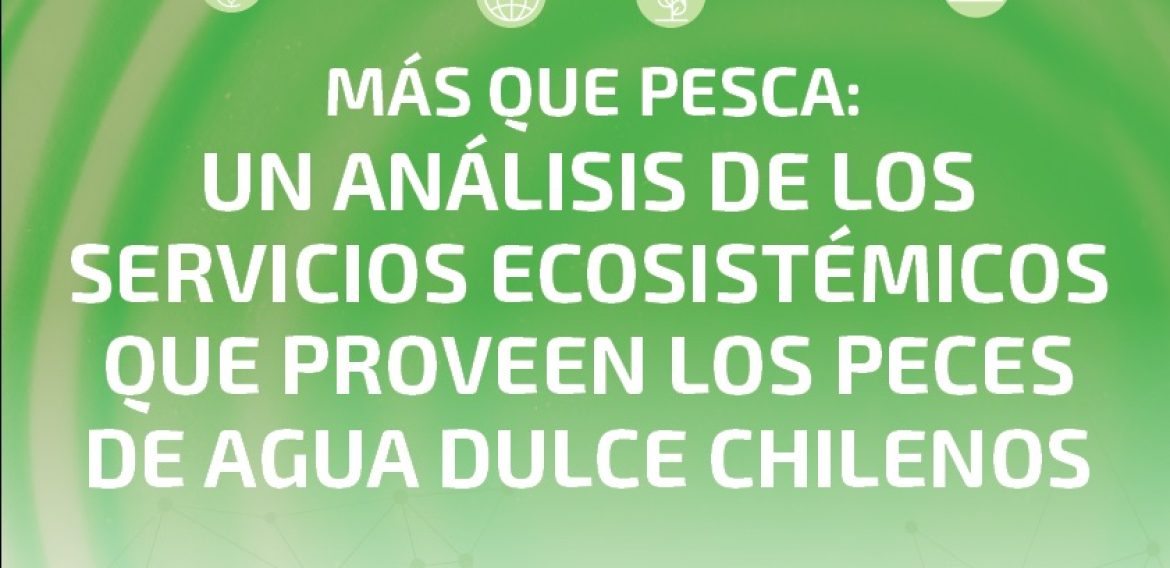 N°20 | Más que pesca: un análisis de los servicios ecosistémicos que proveen los peces de agua dulce chilenos