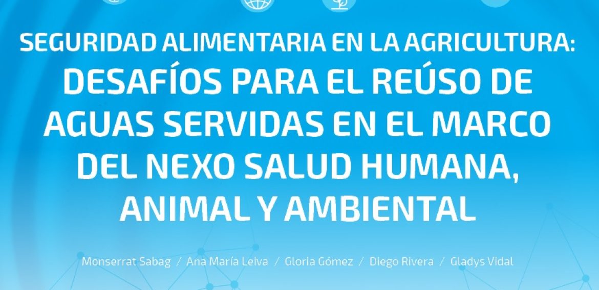 N°28 | Seguridad alimentaria en la agricultura: desafíos para el reúso de aguas servidas en el marco del nexo salud humana, animal y ambiental