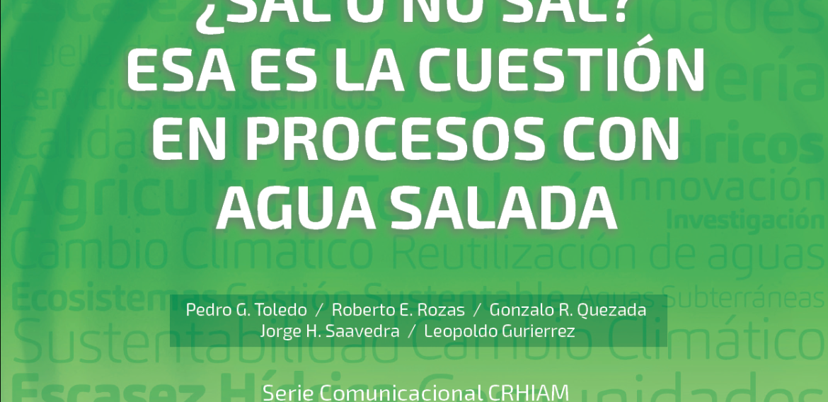 N°29 | ¿Sal o no sal? Esa es la cuestión en procesos con agua salada