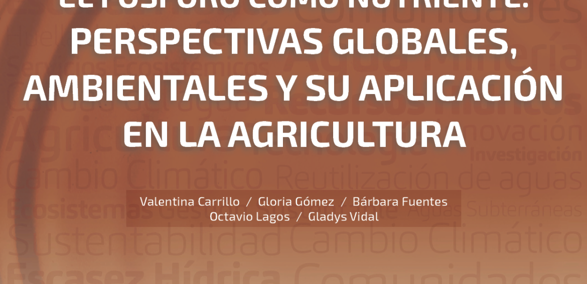 N°30 | El fósforo como nutriente: perspectivas globales, ambientales y su aplicación en la agricultura