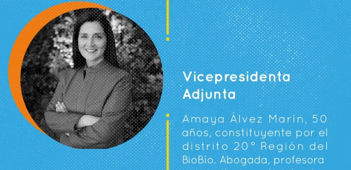 Investigadora CRHIAM Amaya Álvez fue electa vicepresidenta adjunta de la Convención Constitucional