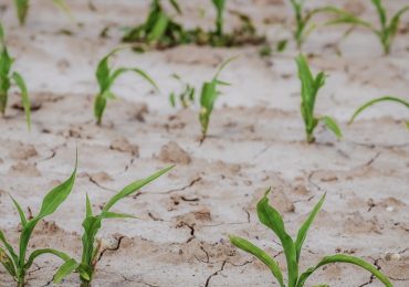 Investigadores CRHIAM lideran proyectos de ciencia y tecnología para enfrentar la sequía