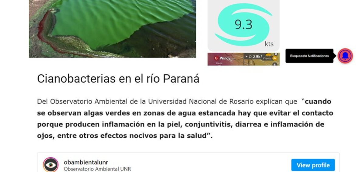 Alerta por cianobacterias en el río Paraná: piden evitar el contacto