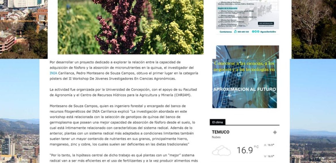 Especialista de INIA Carillanca se distingue con investigación sobre cultivo de la quínua