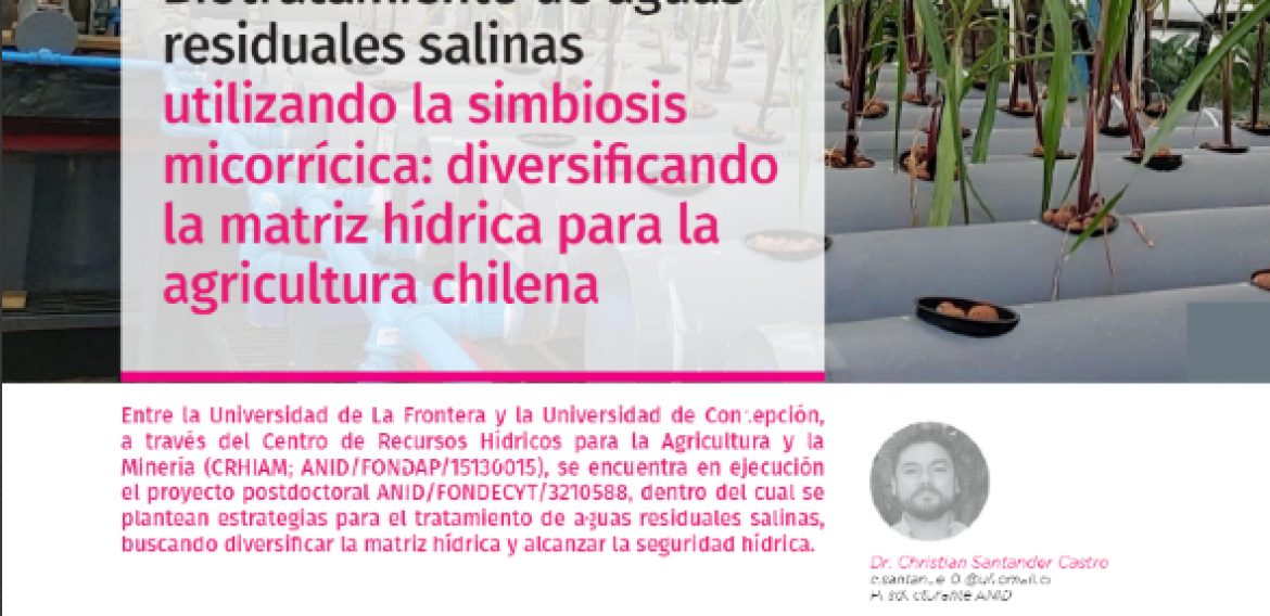 Biotratamiento de aguas residuales salinas utilizando la simbiosis microrrícica: diversificando la matriz hídrica para la agricultura chilena