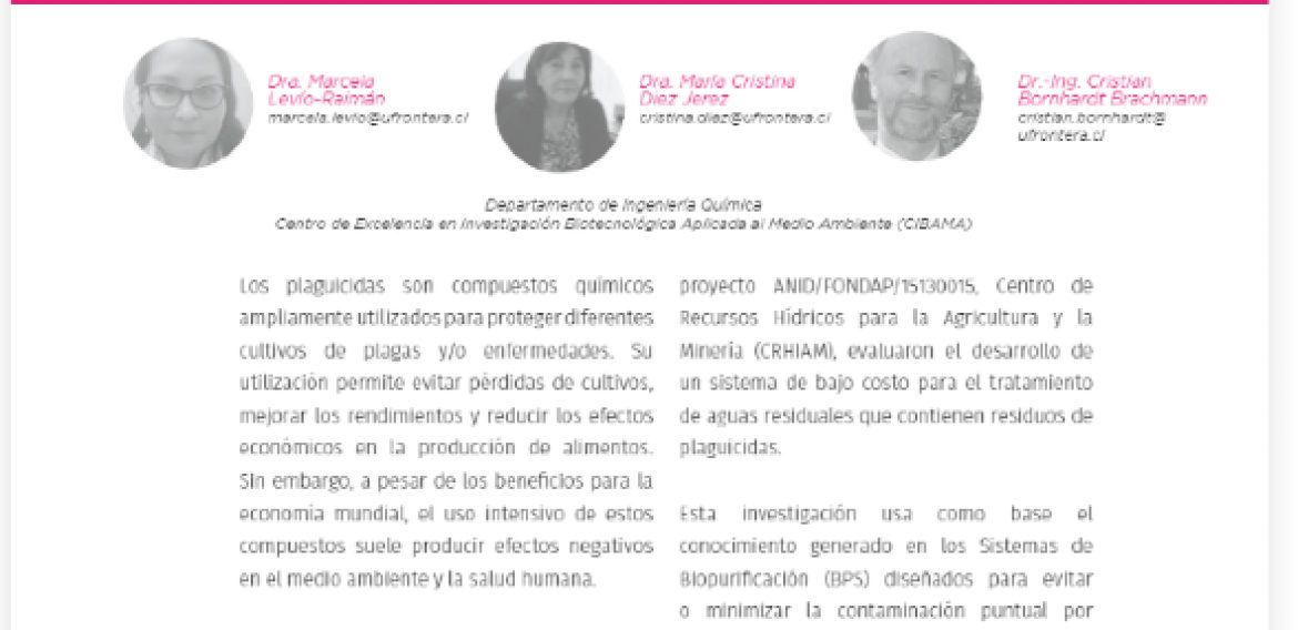 De la academia a la industria: sistema de tratamiento para aguas de recirculación de empresa EAGON Lautaro S.A