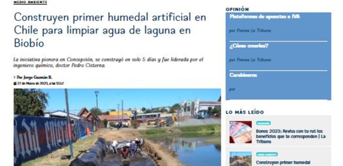 Construyen primer humedal artificial en Chile para limpiar agua de laguna en Biobío