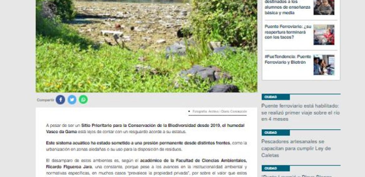 “Es pérdida de capital ambiental”: experto del Centro Eula y daño a los humedales