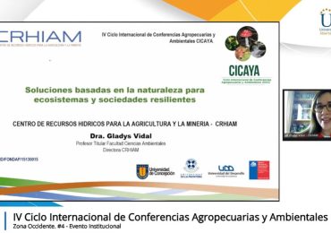 Conferencia online internacional explora el potencial de las Soluciones Basadas en la Naturaleza para abordar desafíos sociales y ambientales