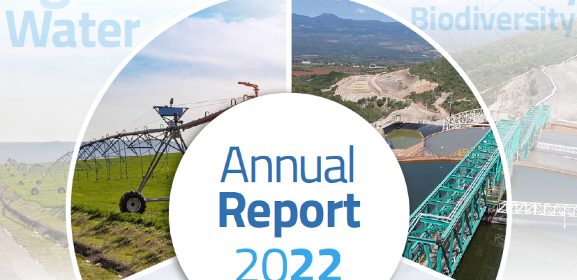 Annual Report 2022