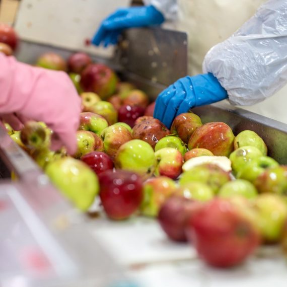 Proyecto «Clean Pesticides Water»: Una Innovación para el Tratamiento de Aguas Residuales Contaminadas con Plaguicidas