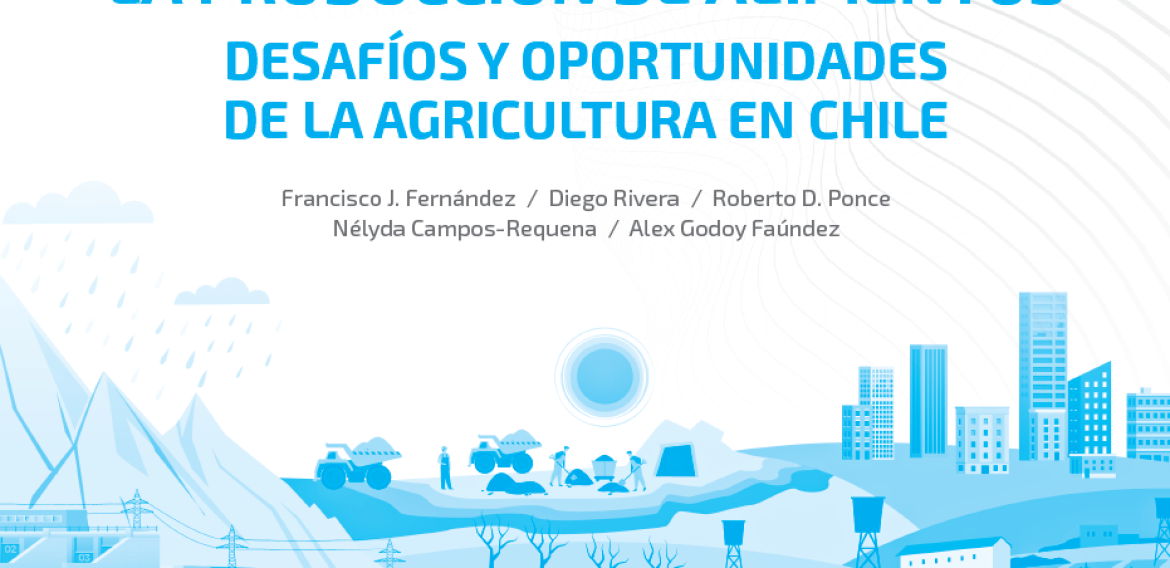 Nº61 | Sostenibilidad hídrica en la producción de alimentos. Desafíos y oportunidades de la agricultura en Chile