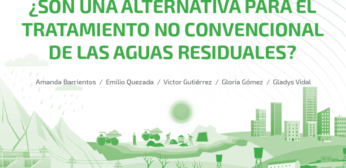 Nº 74 | Los vermifiltros, ¿son una alternativa para el tratamiento no convencional de las aguas residuales?