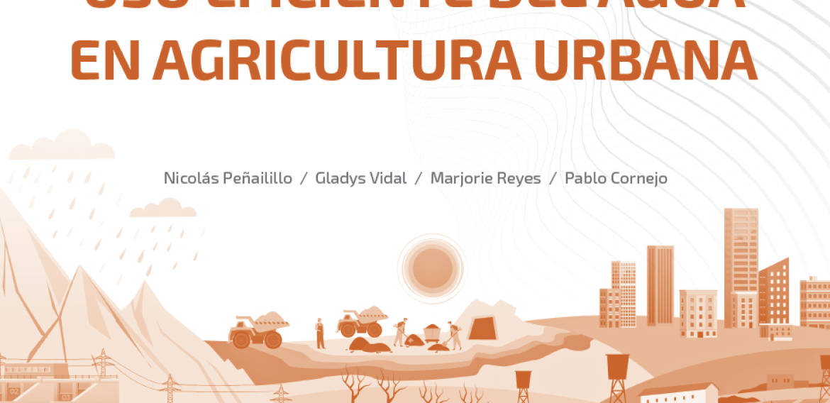 Nº 78 | Uso eficiente del agua en agricultura urbana