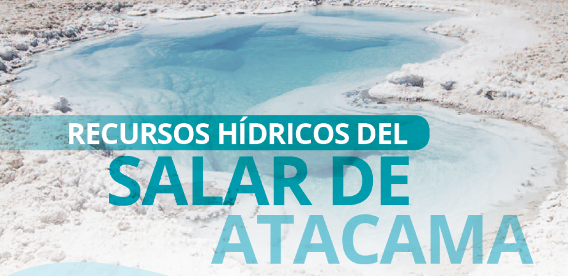 Recursos hídricos del Salar de Atacama