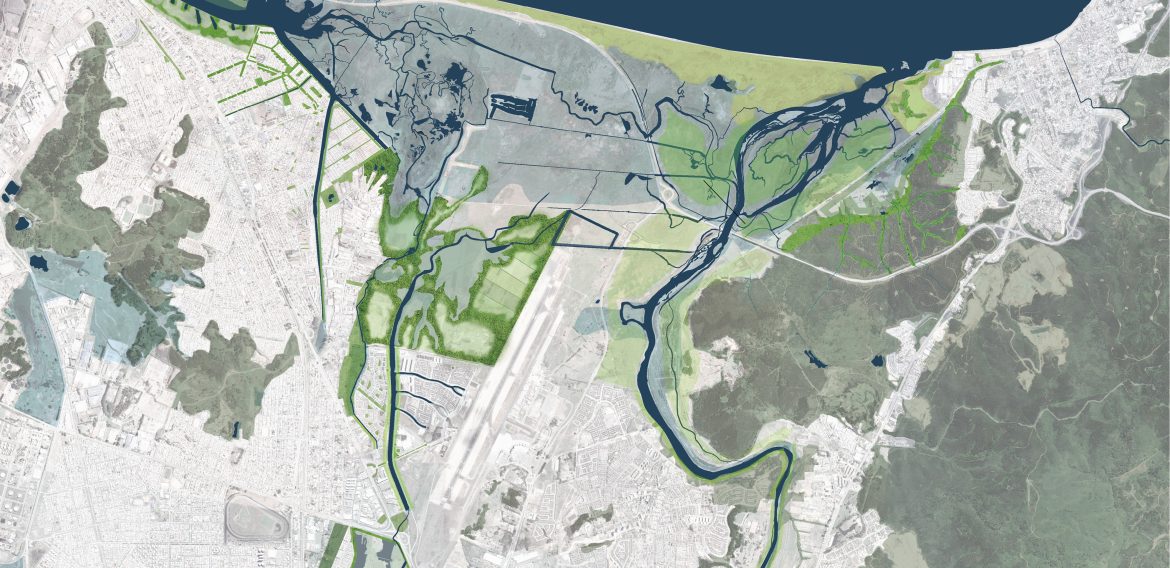 Plan maestro para la protección y gestión del sistema de humedales del Gran Concepción: una apuesta por la sostenibilidad